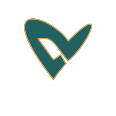 vizzve